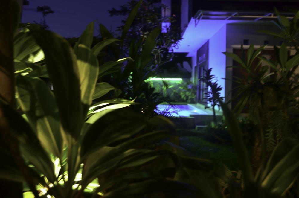 Beluran Serene Guesthouse Selemadeg 외부 사진