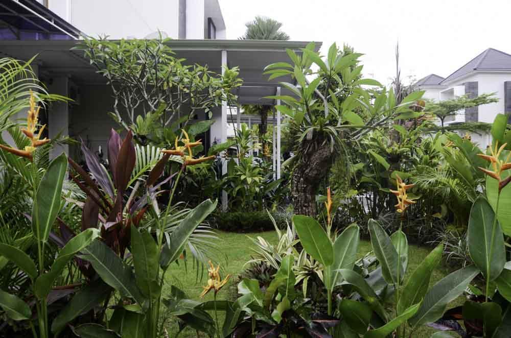 Beluran Serene Guesthouse Selemadeg 외부 사진