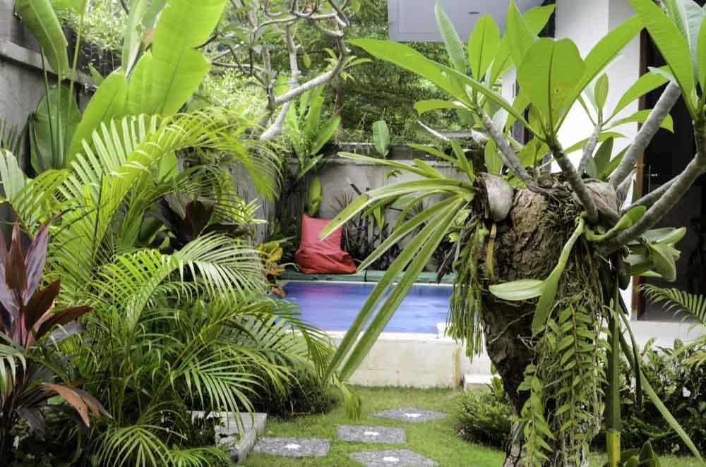 Beluran Serene Guesthouse Selemadeg 외부 사진