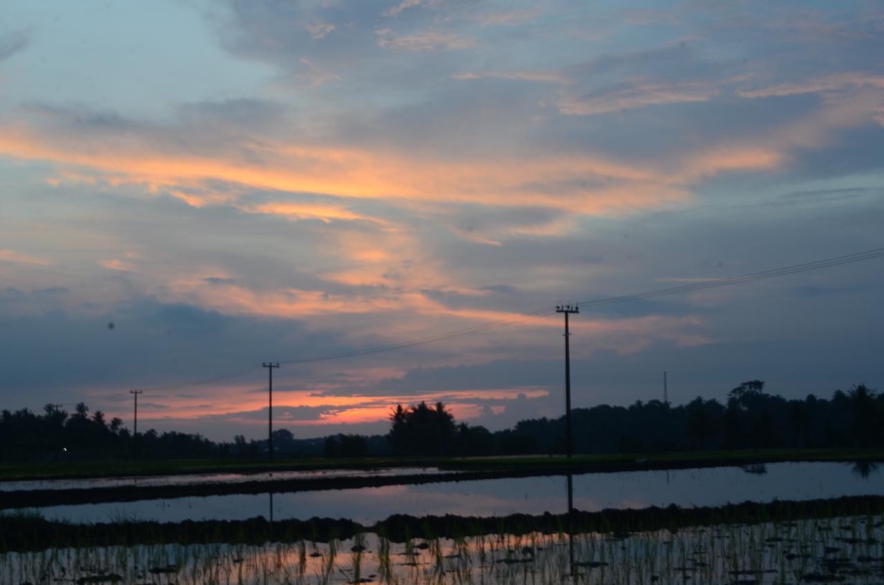 Beluran Serene Guesthouse Selemadeg 외부 사진